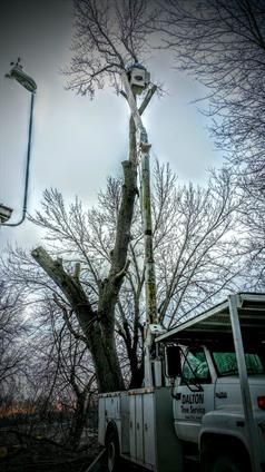 IMG_20160206_091406-2